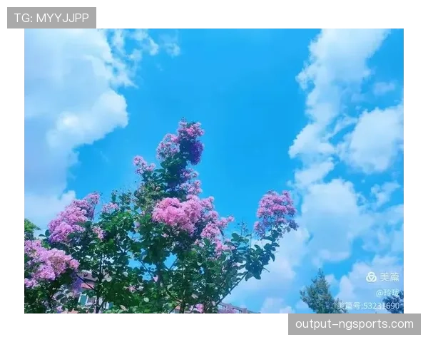 流血离场规则有哪些细节易被忽视?完整拆解告诉你! 流血离场规则有哪些细节易被忽视?完整拆解告诉你!
